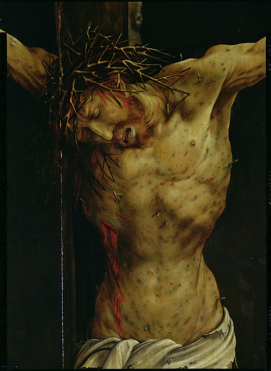 Ukrzyżowanie z Ołtarza Isenheima, fragment torsu Chrystusa, ok. 1512-16 olej na fragmencie panelu autorstwa Matthias Grünewald