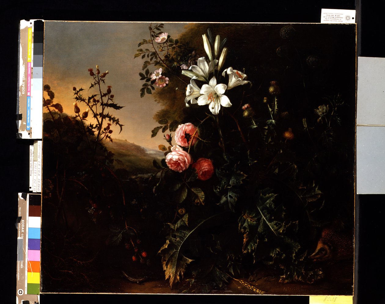 Martwa natura, ok. 1670 r. (olej na płótnie) autorstwa Matthias Withoos