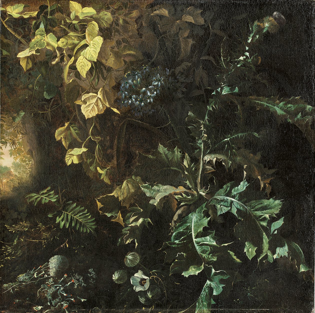 Osty i inne rośliny na dnie lasu, za nim pejzaż, fragment autorstwa Matthias Withoos