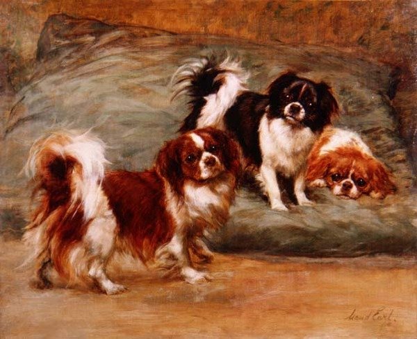 Trzy King Charles Spaniele na poduszce autorstwa Maud Earl
