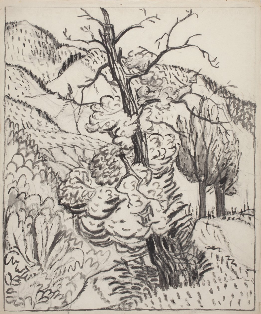 Drzewo na zboczu góry, ok. 1930 (pędzel, tusz i węgiel na białym papierze) autorstwa Maud Hunt Squire