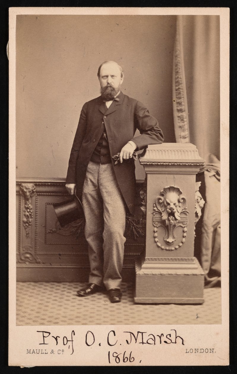 Portret Othniela Charlesa Marsha 1831-1879, 1866. autorstwa Maull and Co