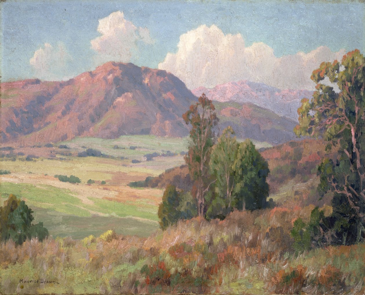 Wzgórza San Diego (olej na płótnie) autorstwa Maurice Braun