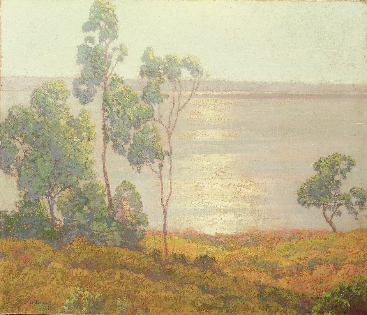 Poranne słońce, San Diego (olej na płótnie) autorstwa Maurice Braun