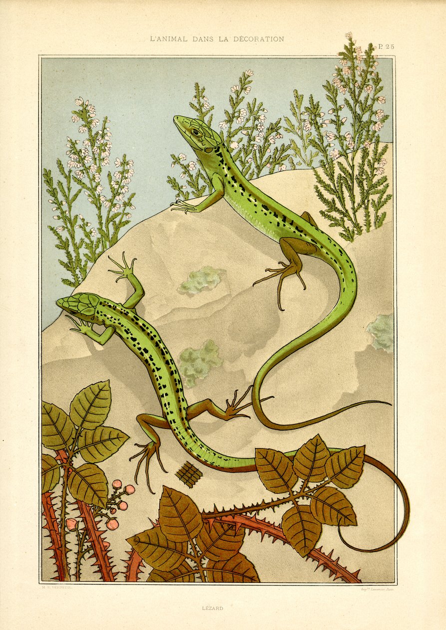 Naturalistyczny motyw jaszczurki w stylu secesyjnym (litografia) autorstwa Maurice Pillard Verneuil