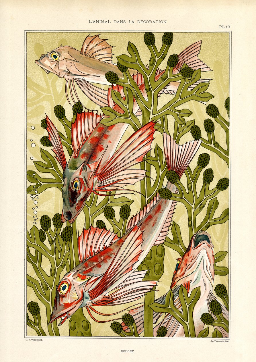 Stylizowana ryba wśród roślin morskich (litografia) autorstwa Maurice Pillard Verneuil