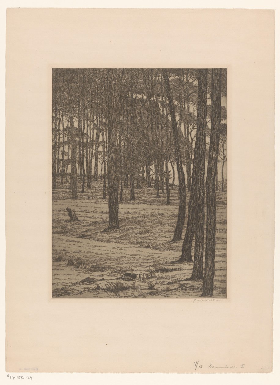 Dennenbosch I (oryginalny tytuł na obiekcie) Bos (oryginalny tytuł) autorstwa Maurits van der Valk (signed by artist)