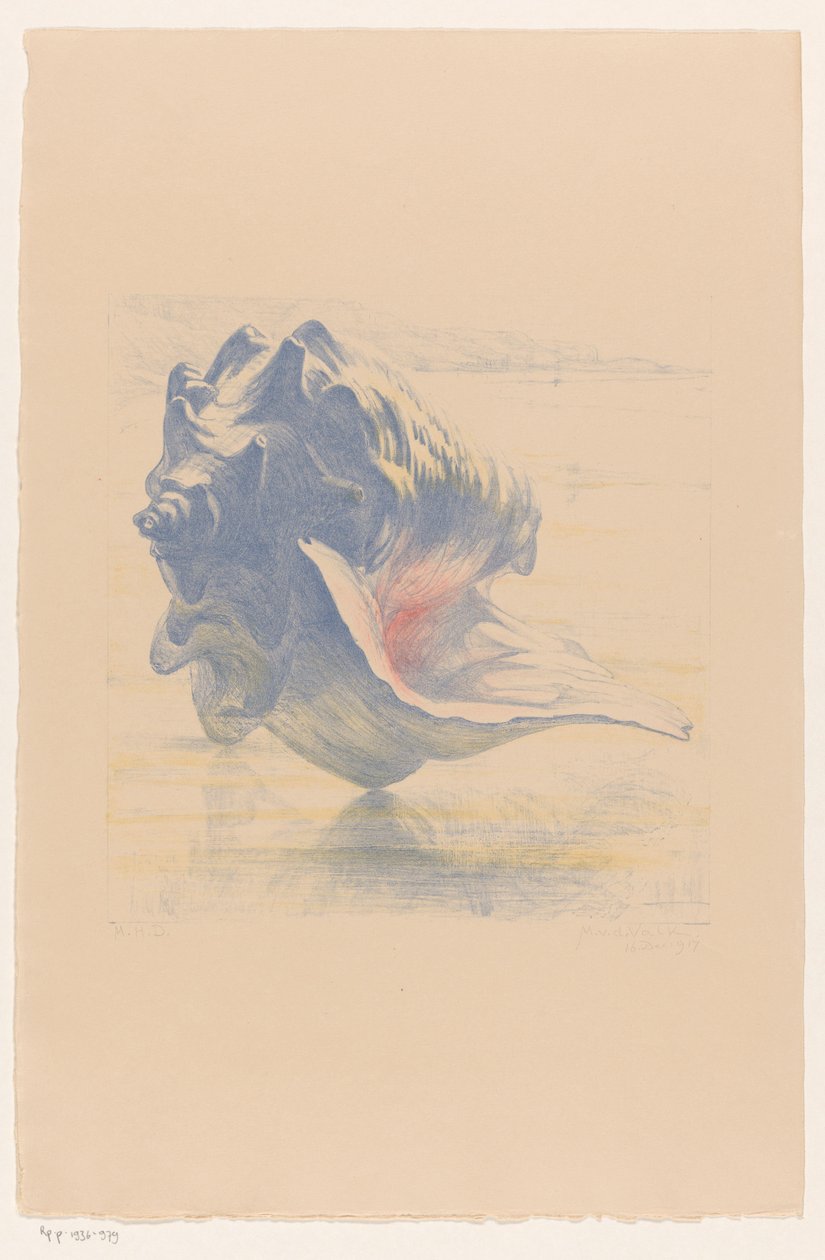 Powłoka autorstwa Maurits van der Valk (signed by artist)