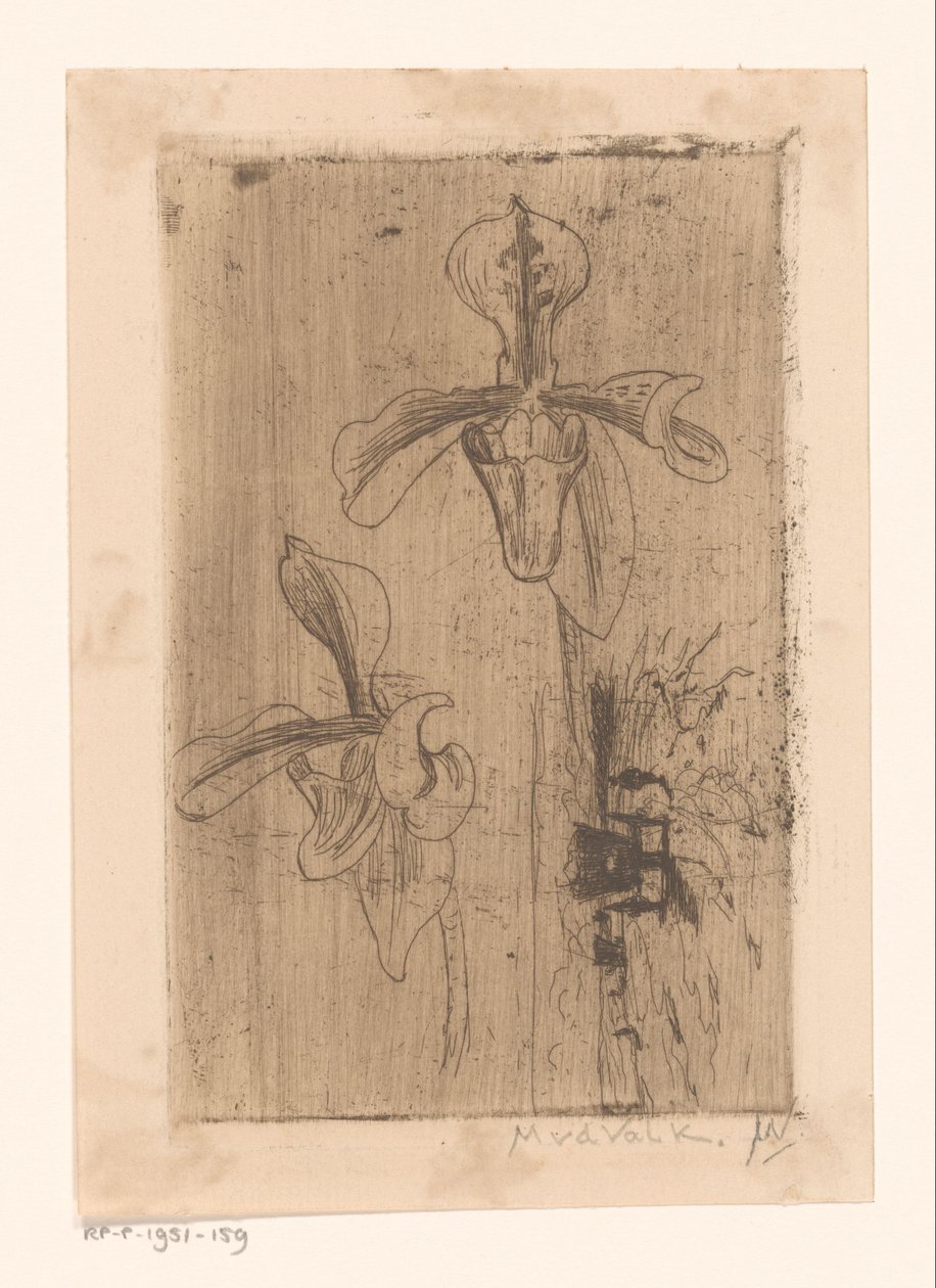Dwie orchidee i wózek na plaży autorstwa Maurits van der Valk (signed by artist)