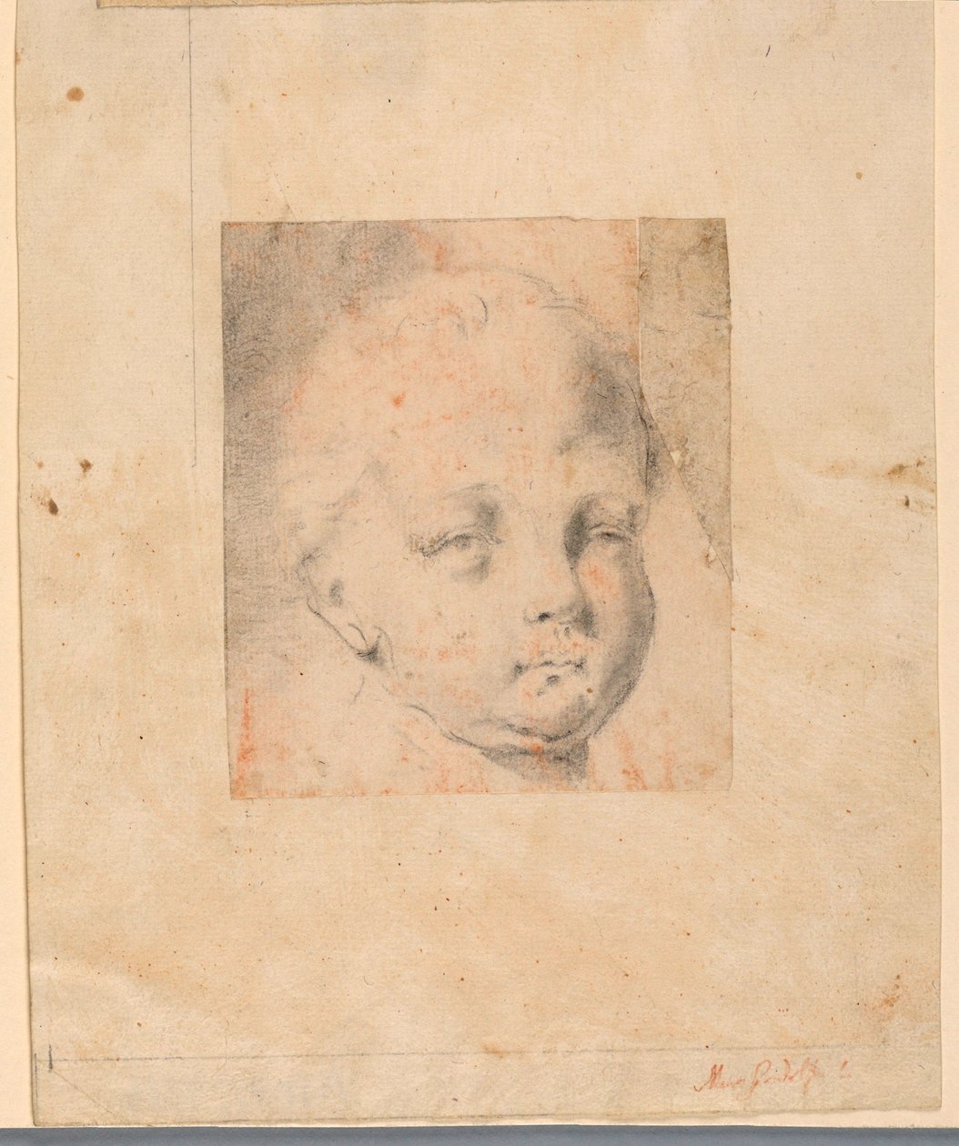 Rysunek, Studium: Głowa chłopca, 1810-34 autorstwa Mauro Gandolfi