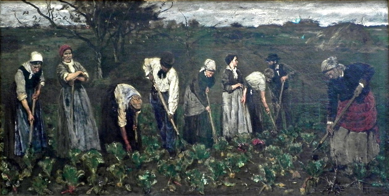 Pracownicy na polu buraków autorstwa Max Liebermann