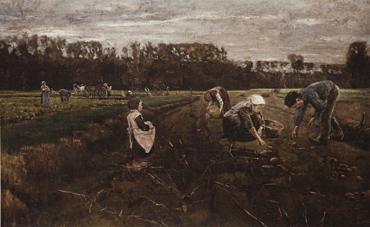 Zbiór ziemniaków Barbizon autorstwa Max Liebermann