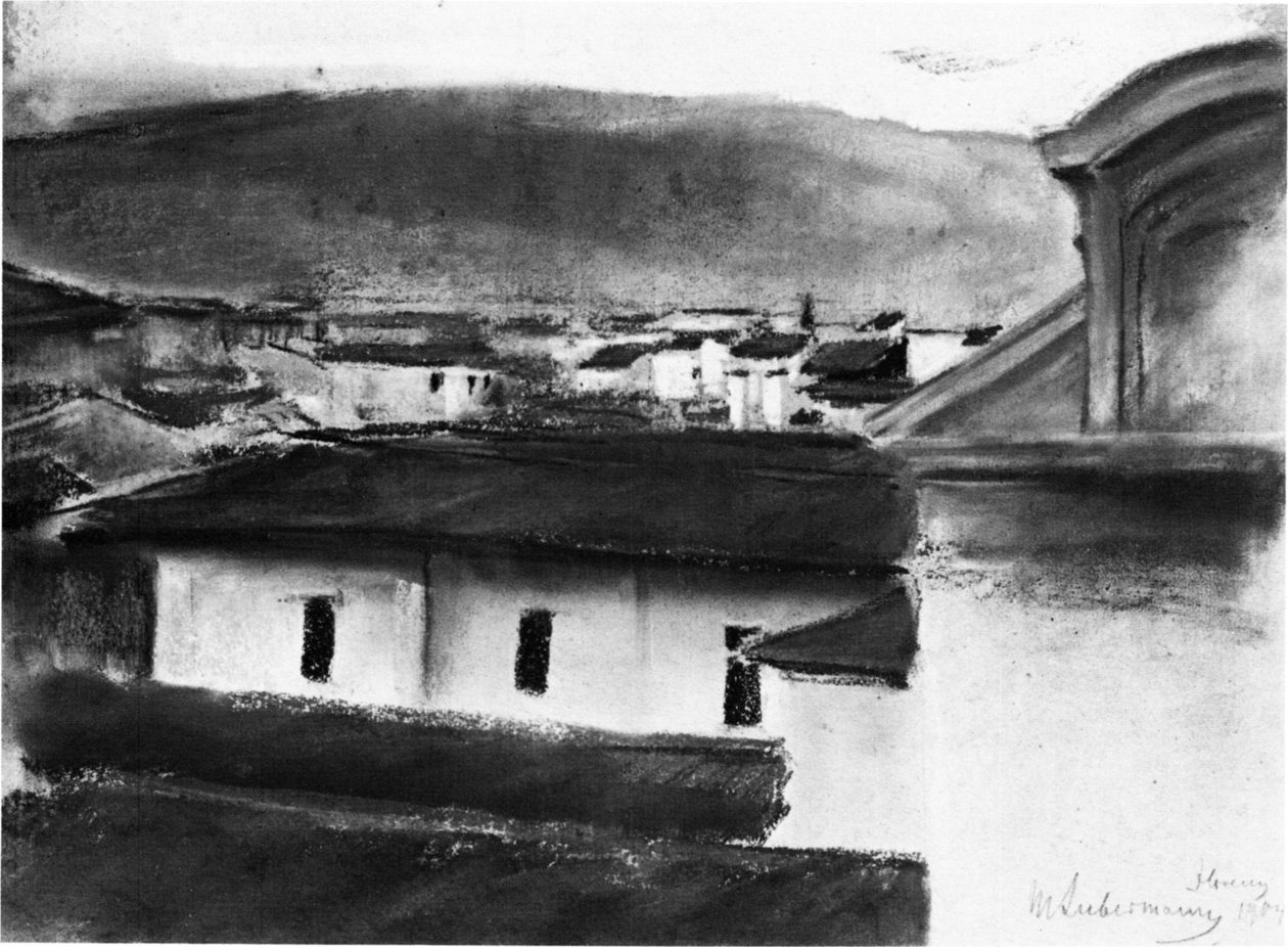Widok na dachy Florencji autorstwa Max Liebermann