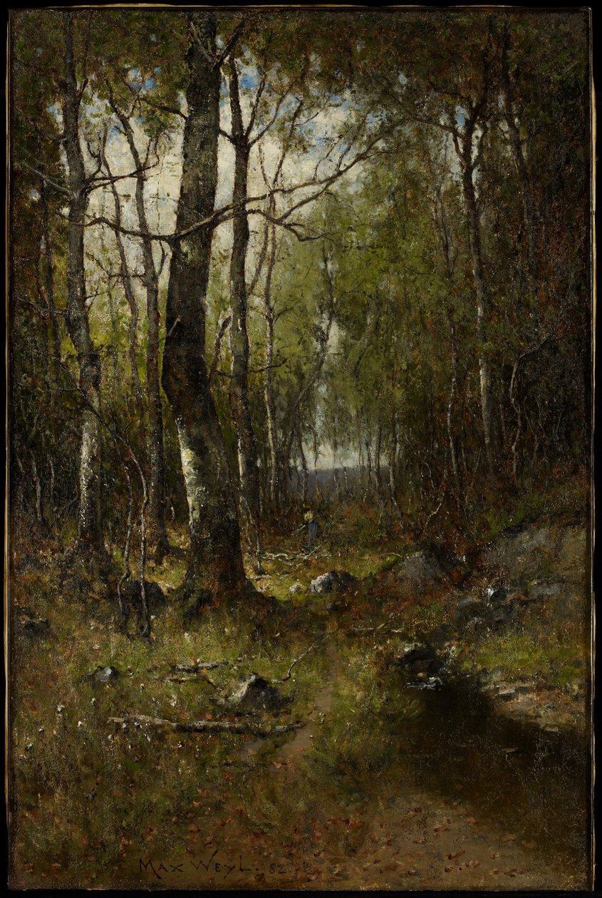 Temple Woods, 1882 autorstwa Max Weyl