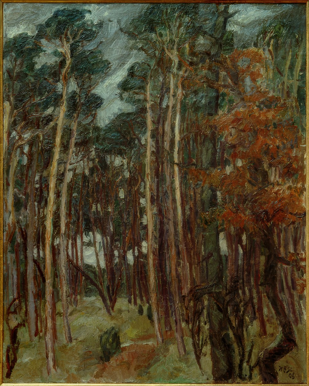 Las Hermsdorfski w szary dzień autorstwa Max Beckmann
