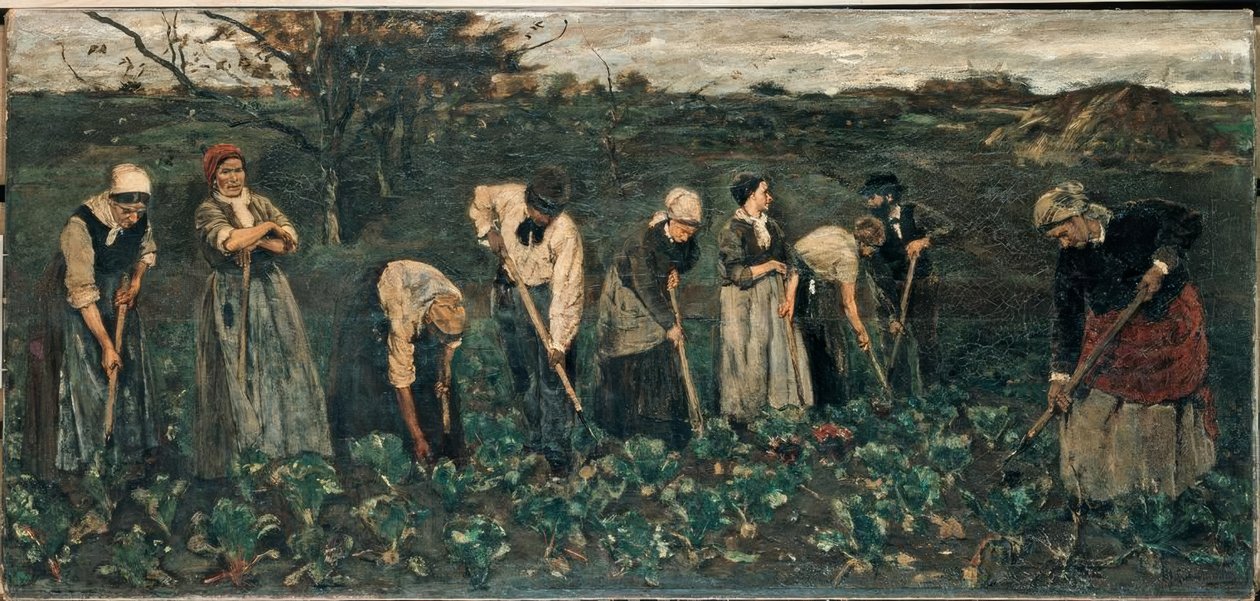 Pracownicy na polu buraków autorstwa Max Liebermann