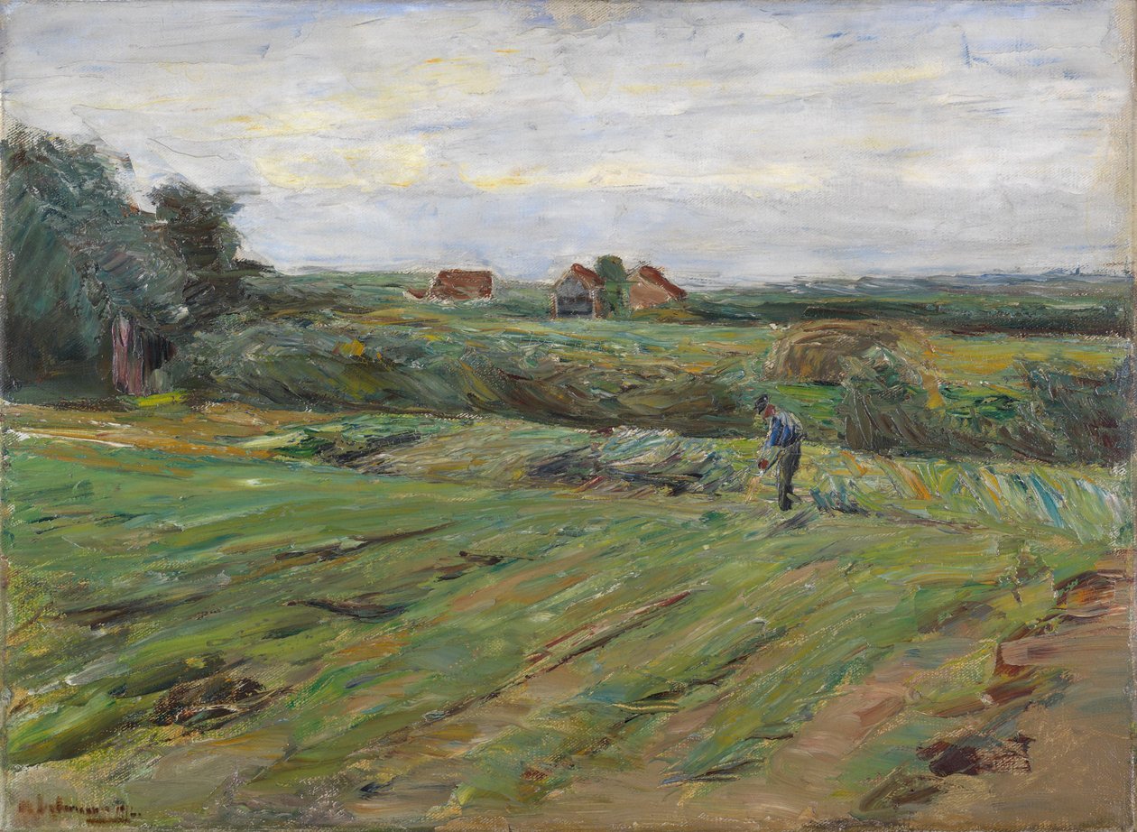Pole żniwne autorstwa Max Liebermann