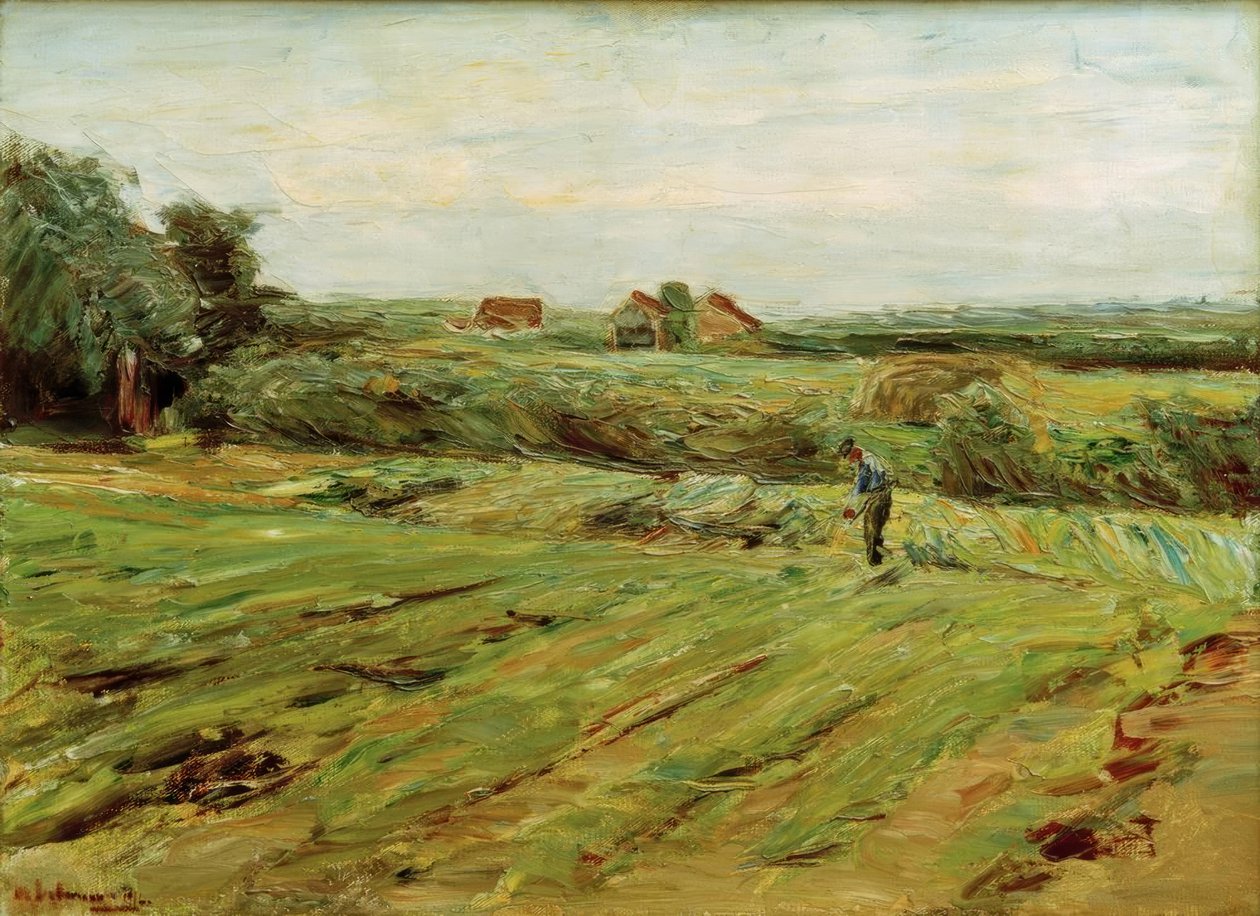 Pole zbiorów - pole kapusty (?) autorstwa Max Liebermann