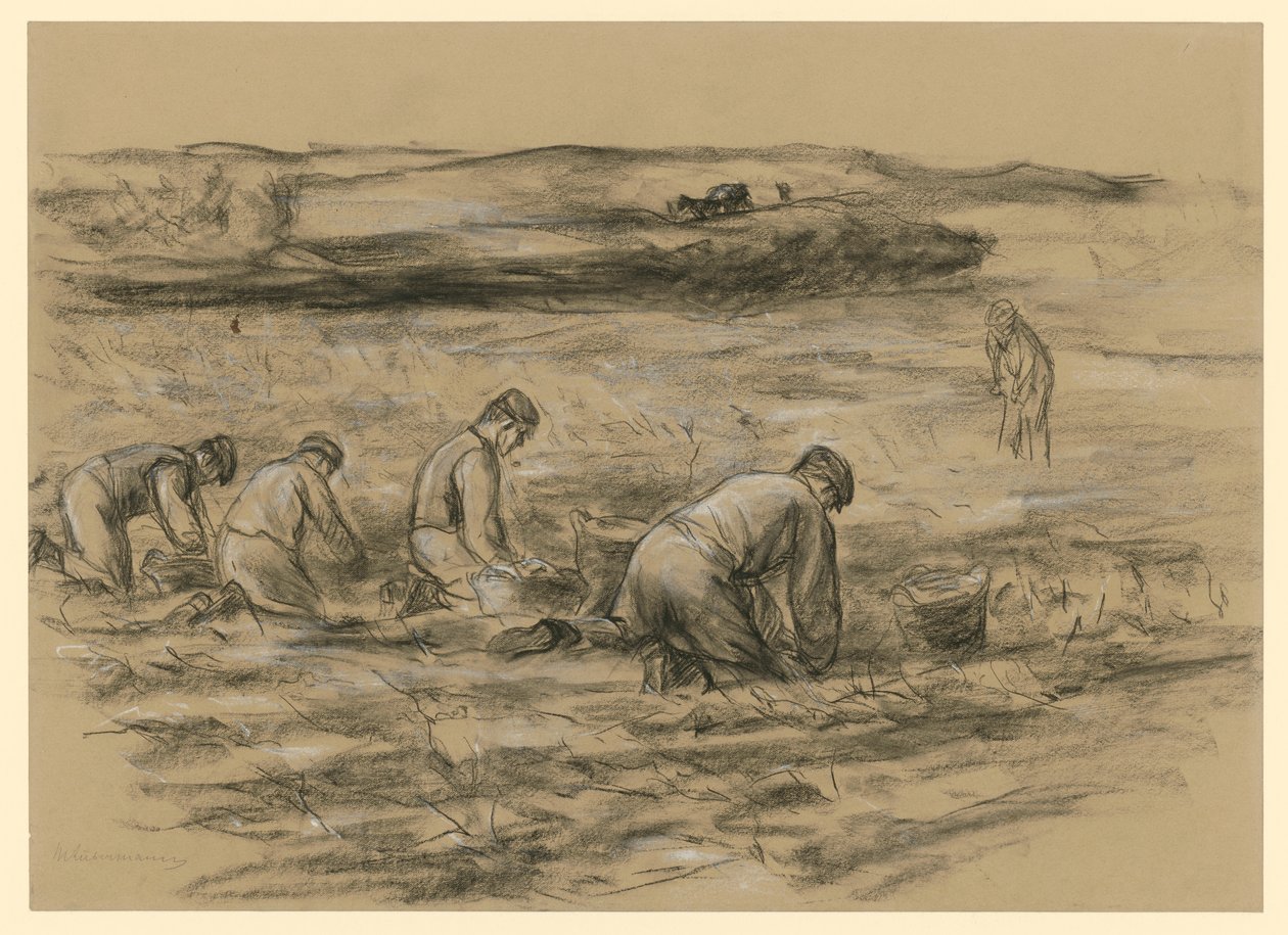 Kopacz do ziemniaków w Zandvoort autorstwa Max Liebermann