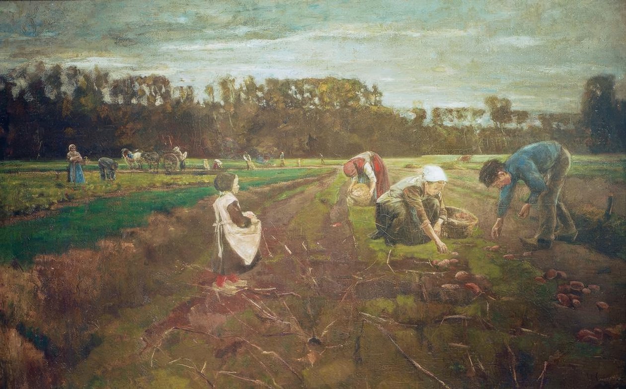 Kartoffelernte w Barbizon autorstwa Max Liebermann