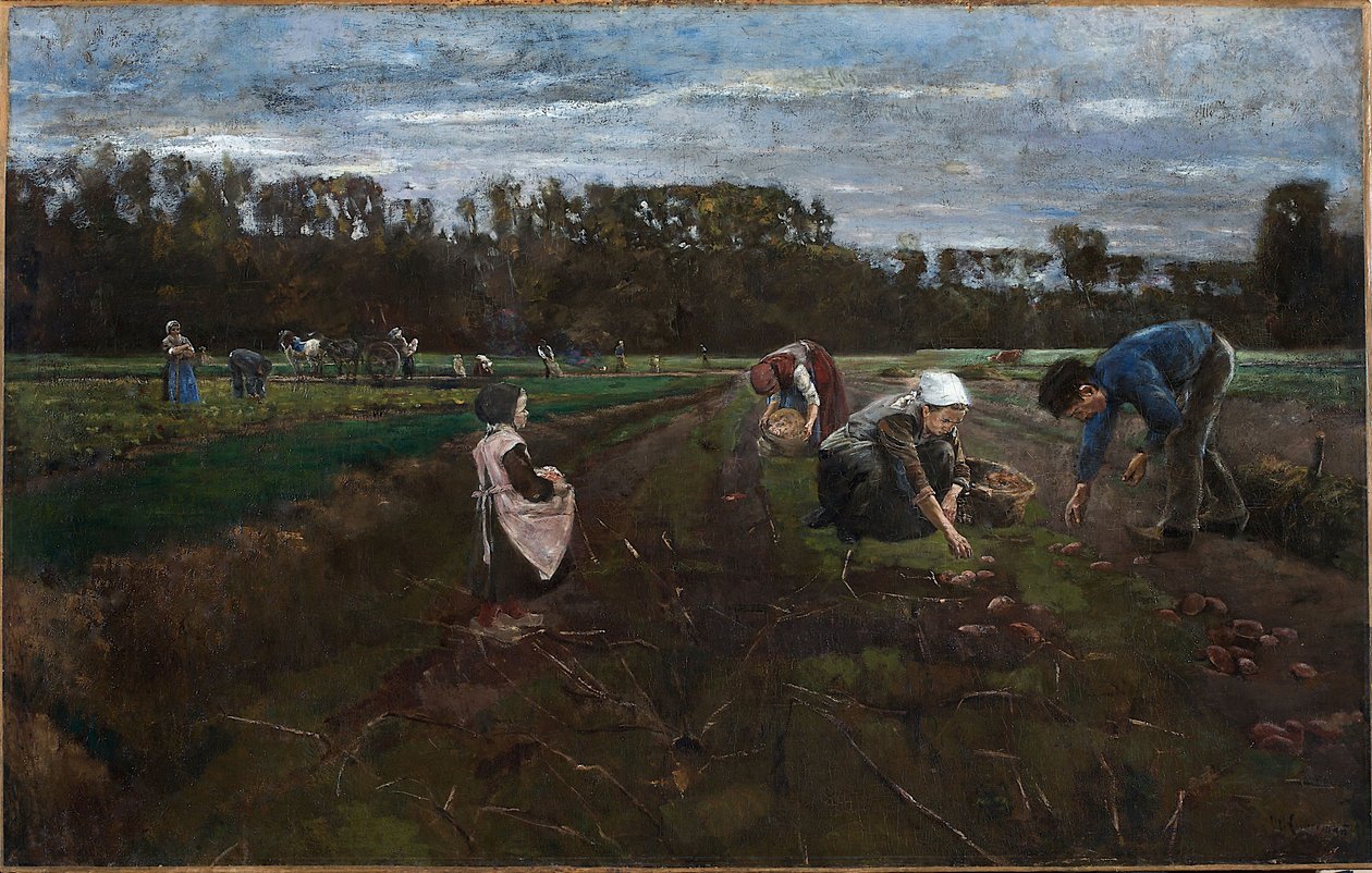 Zbiór ziemniaków autorstwa Max Liebermann