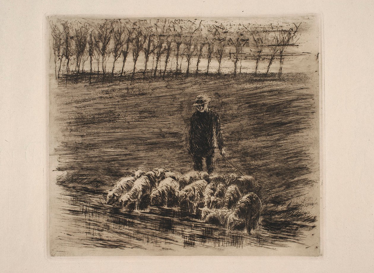 Stado owiec przy wodopoju autorstwa Max Liebermann
