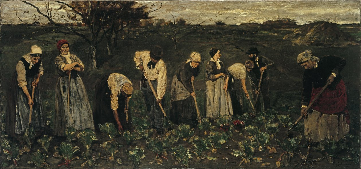 Pracownicy na polu buraków autorstwa Max Liebermann
