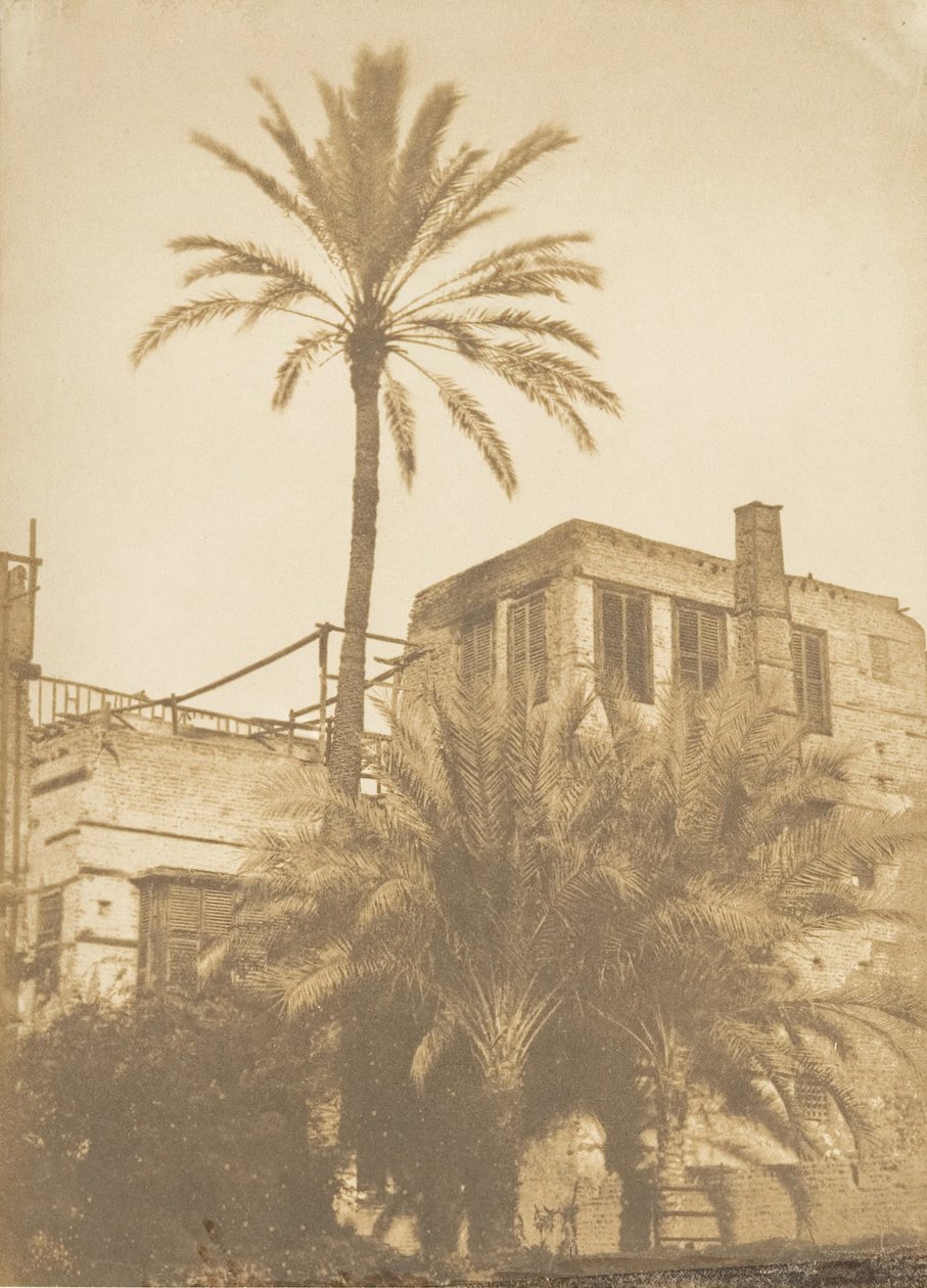 Palmy daktylowe i Maison du Quartier Franc, Kair, grudzień 1849-styczeń 1850. autorstwa Maxime Du Camp