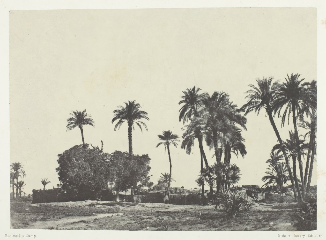 Wieś Hamameh, Górny Egipt, 184951, wydrukowany 1852. autorstwa Maxime Du Camp