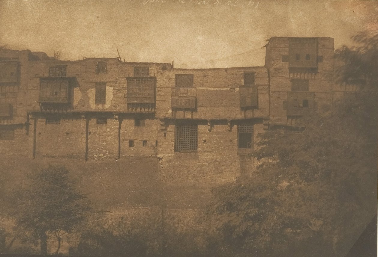 Widok z Jardin du Quartier Franc w Kairze, grudzień 1849-styczeń 1850. autorstwa Maxime Du Camp