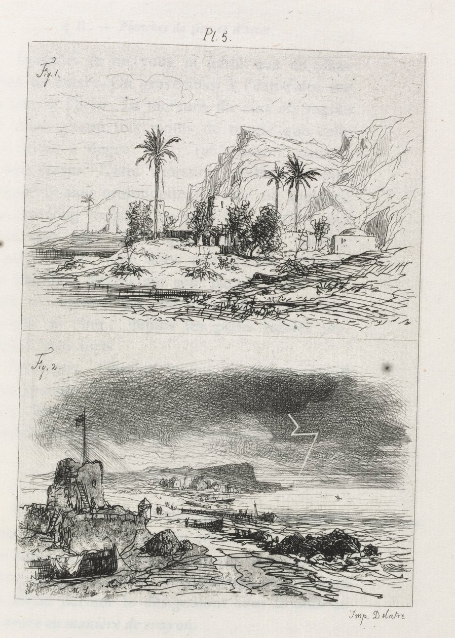 Traktat o trawieniu: Tablica 5, 1866. autorstwa Maxime Lalanne