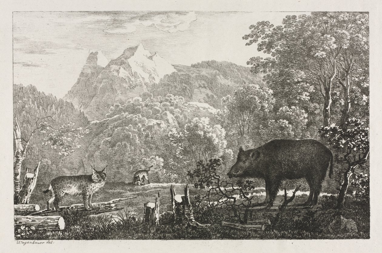 Dzik, Żbik i Ryś autorstwa Maximilian Josef Wagenbauer