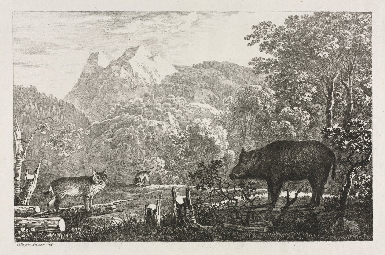Dzik, żbik i ryś, 1807. autorstwa Maximilian Josef Wagenbauer