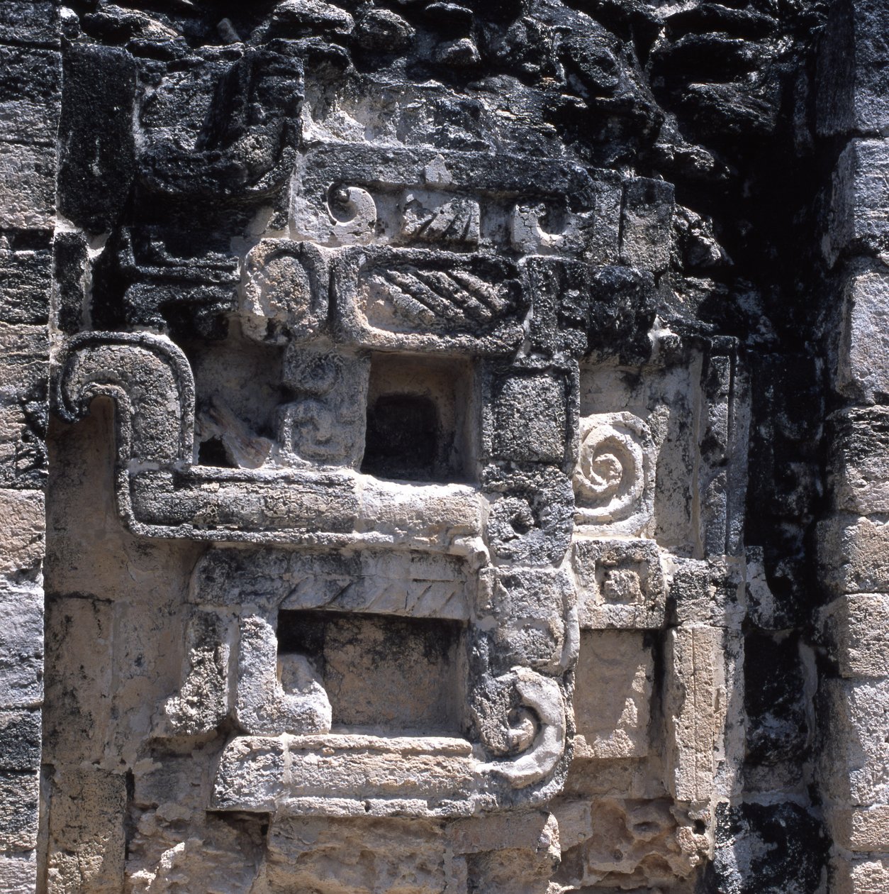 Płaskorzeźba potwora ziemi, okres późnego klasyku, 600-900 ne autorstwa Mayan