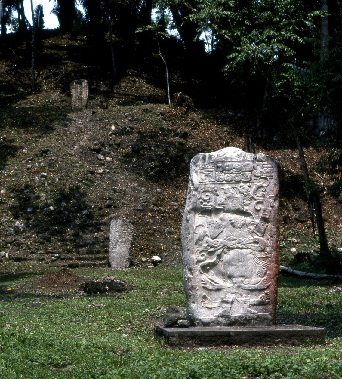 Seibal, Stela 13, ostateczny okres klasyczny, 849 rne autorstwa Mayan