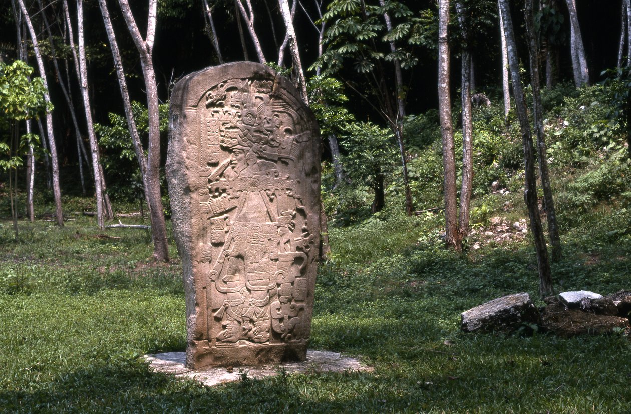 Stela 1, końcowy okres klasyczny (830-930 n.e.) autorstwa Mayan