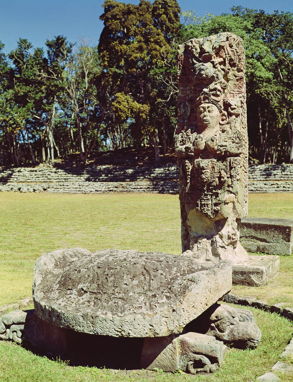 Stela C przedstawiająca osiemnastu królików i posąg dwugłowego żółwia z przodu, AD 711 autorstwa Mayan