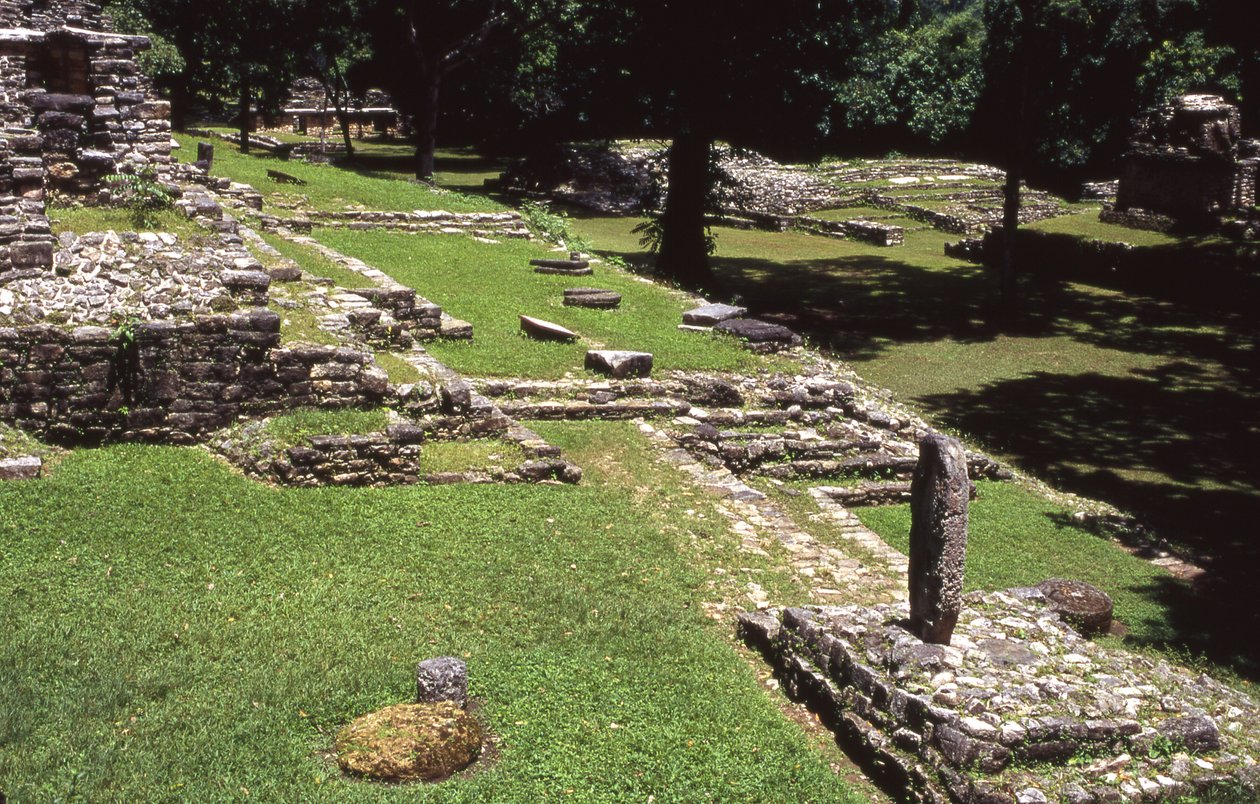 Widok strony Yaxchilan, późny okres klasyczny 600-900 AD autorstwa Mayan