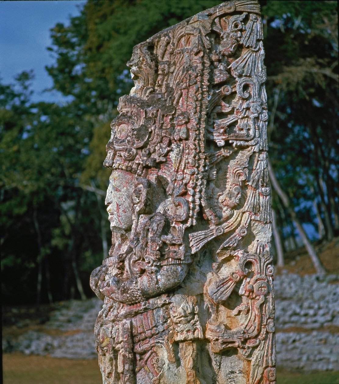 Stela H, Plac Ceremonii, 731 AD autorstwa Mayan