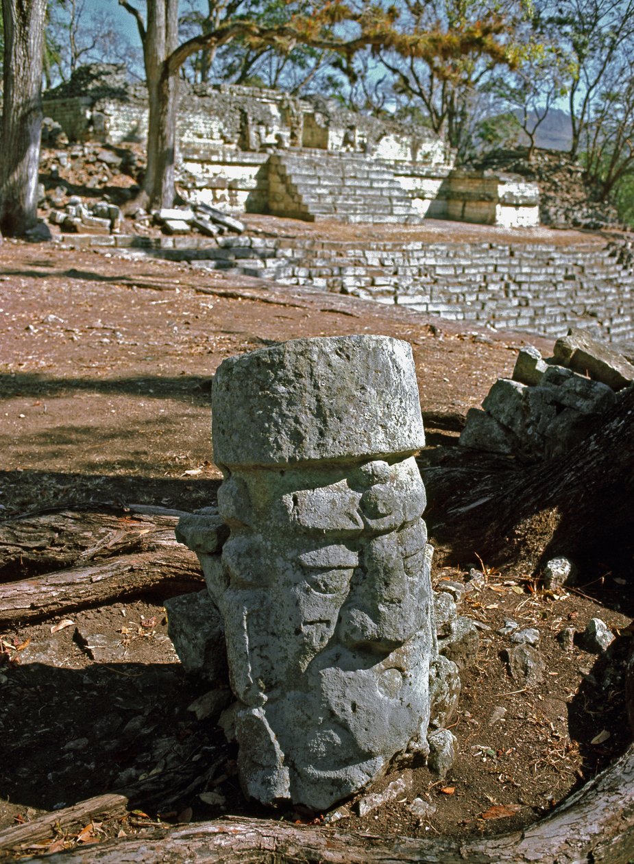 Widok na dwór wschodni i świątynię 22, okres klasyczny VII-VIII w. autorstwa Mayan