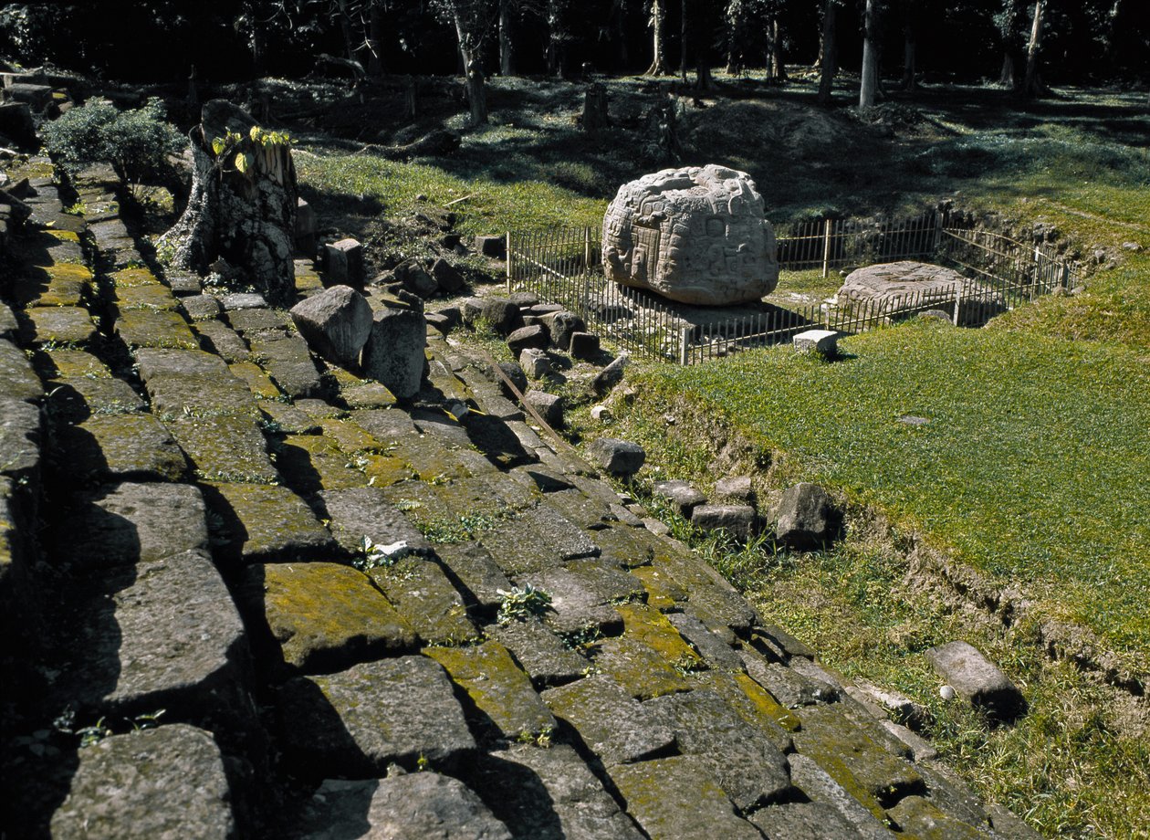 Ołtarz zoomorficzny P autorstwa Mayan