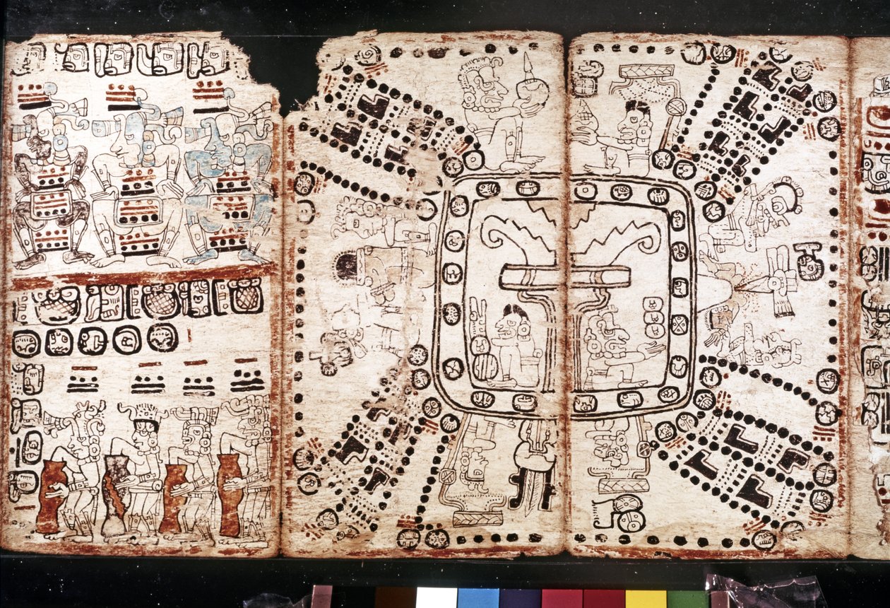 CYWILIZACJA MAJA: Codex Tro-Cortesiano, połowa XV wieku (włókno z kory i warzyw) autorstwa Mayan Mayan