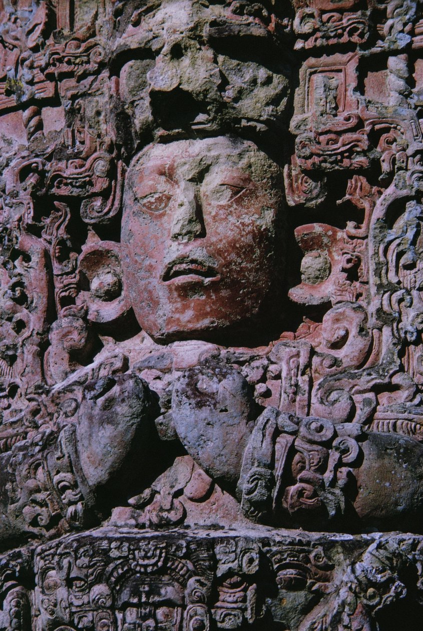 Stela w Grand Plaza (kamień) (detal z 231827) autorstwa Mayan Mayan