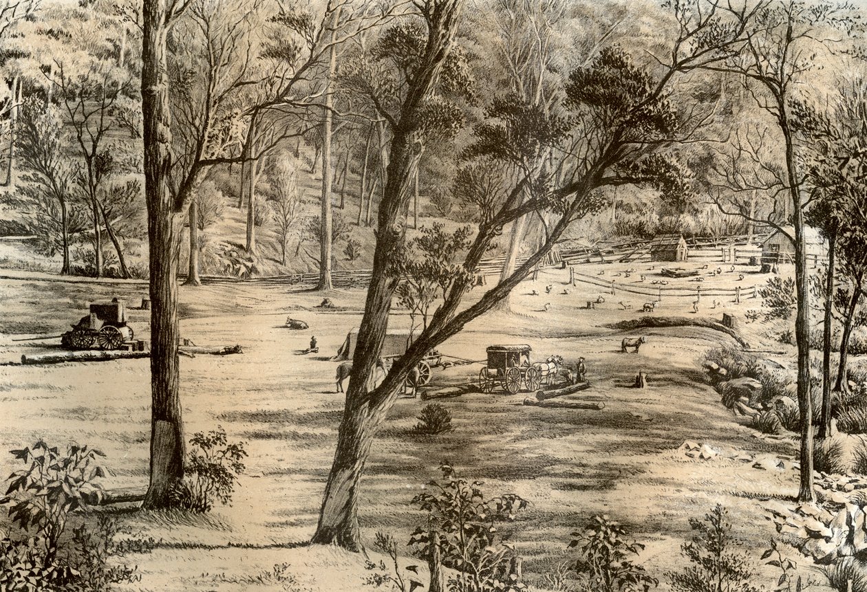 Wolna chata selektora, Australia, 1879 autorstwa McFarlane and Erskine