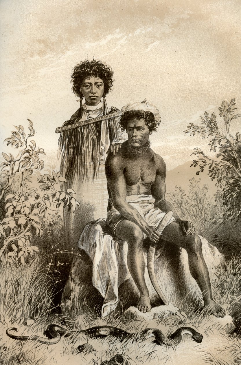 Maorysi i wąż dywanowy, Nowa Zelandia, 1879 autorstwa McFarlane and Erskine
