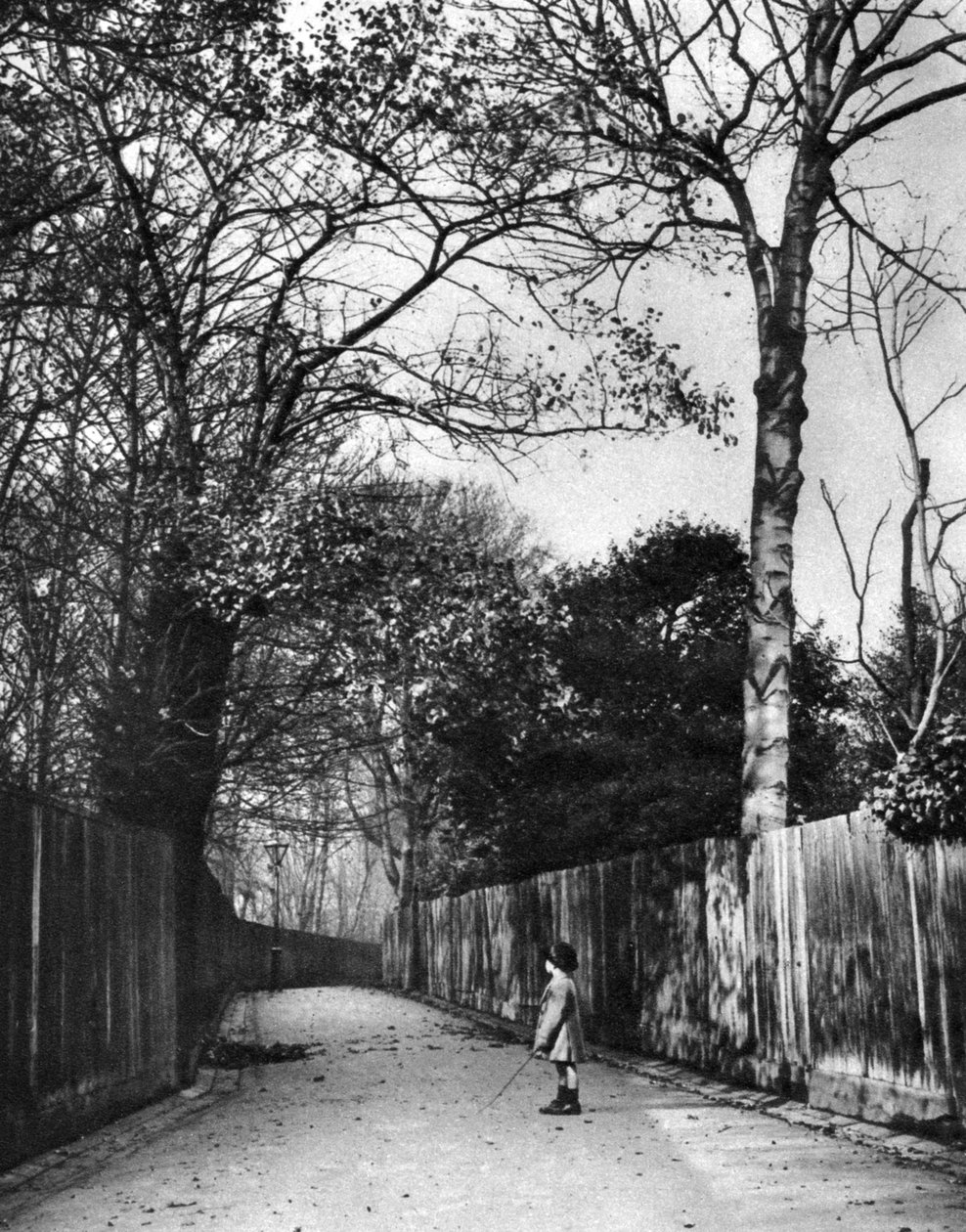 Jesień w Holland Walk, Londyn, 1926-1927. autorstwa McLeish