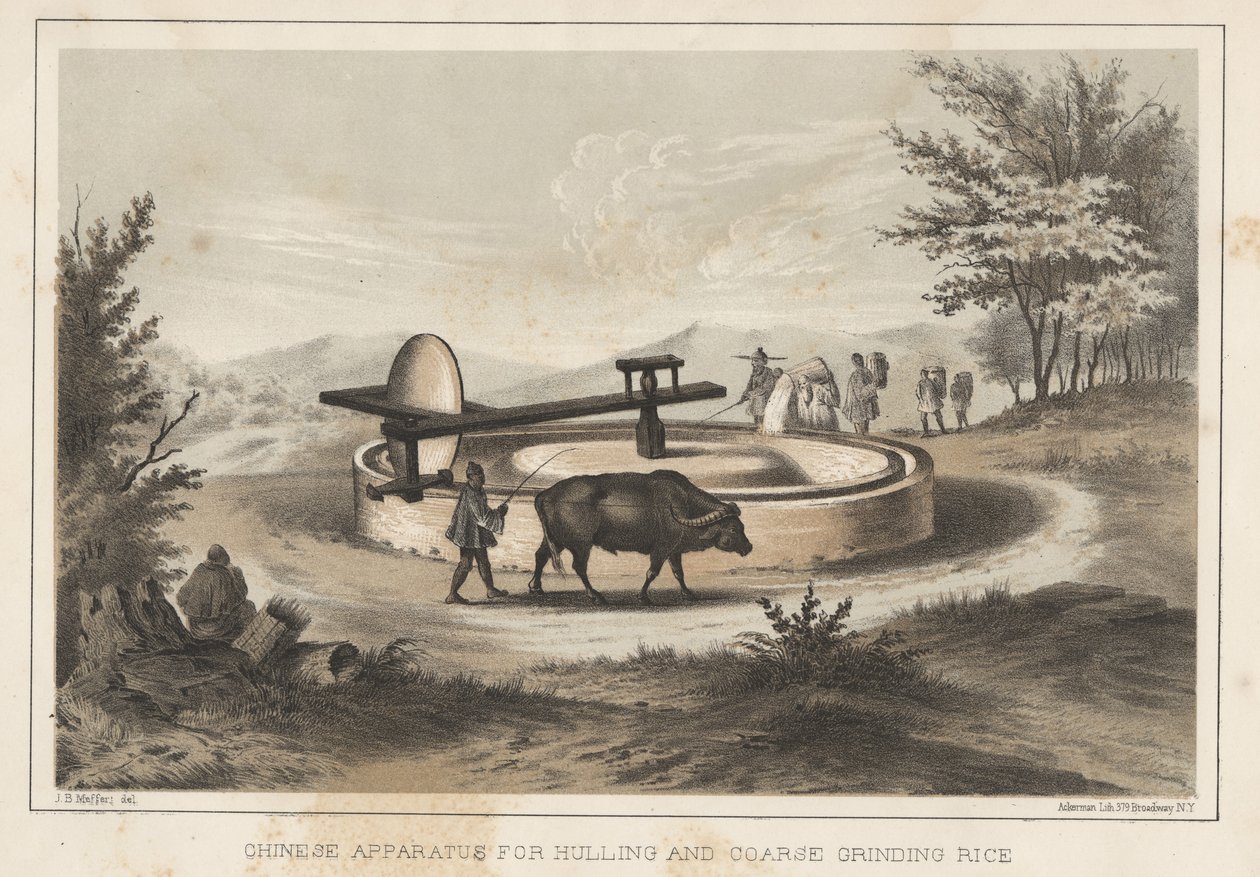 Chińskie urządzenie do łuszczenia i grubego mielenia ryżu, 1855 r. autorstwa Meffert