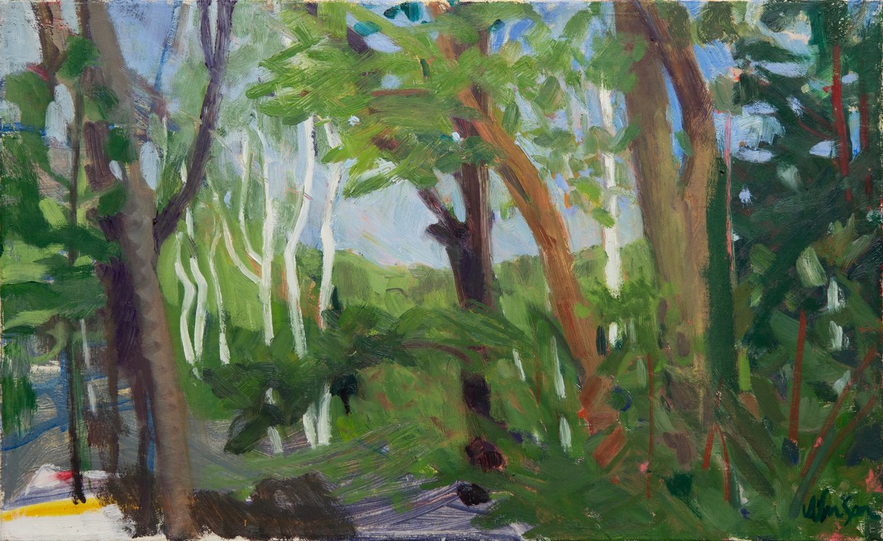 Drzewo brzozowe, 2016 (olej na płótnie) autorstwa Megan Williamson