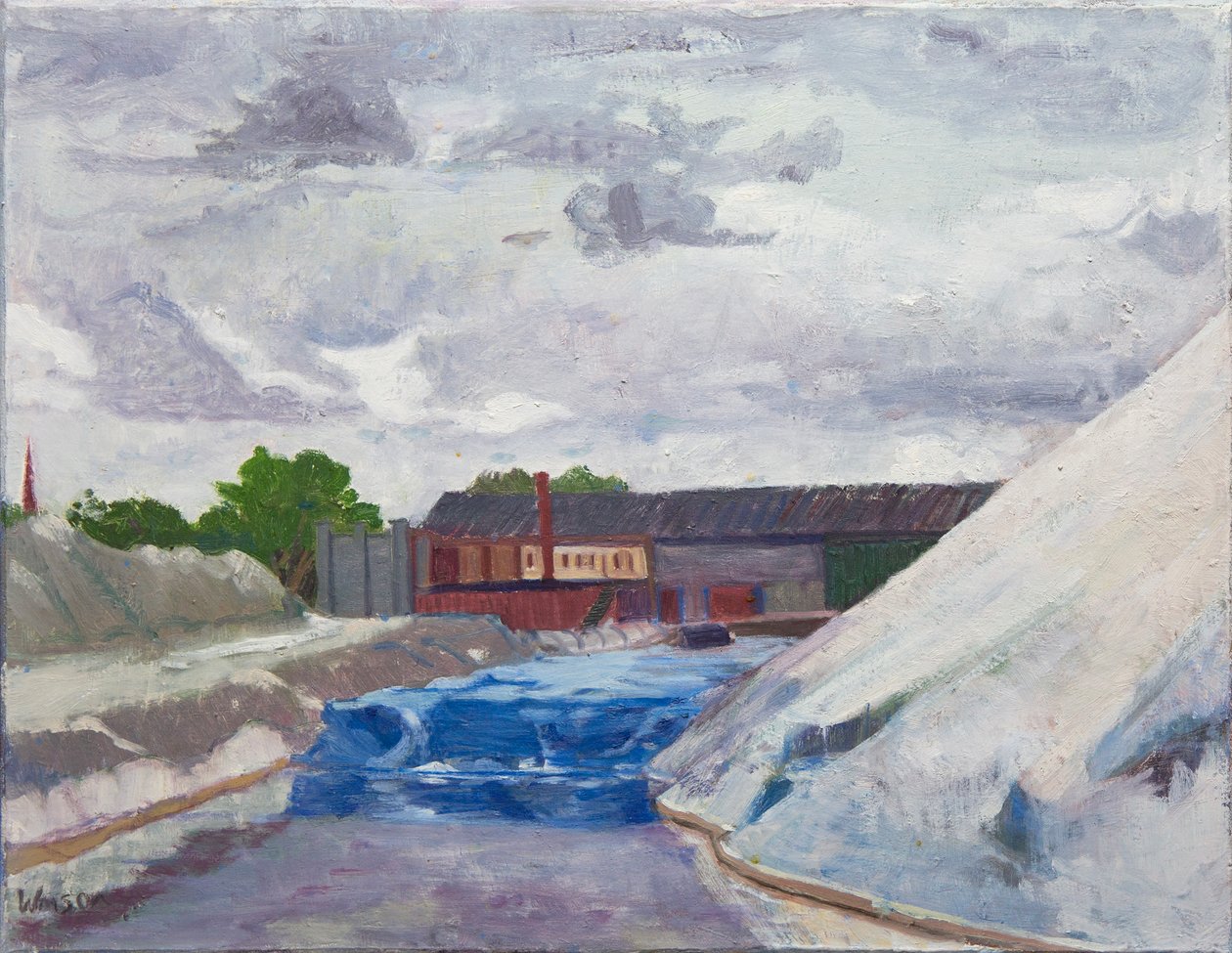 Salt Dam on the Cal Sag, 2014 (olej na płótnie) autorstwa Megan Williamson