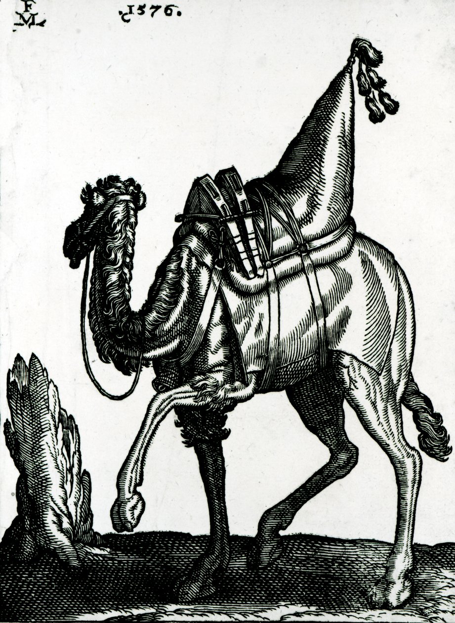 Wielbłąd (drzew) autorstwa Melchior Lorck